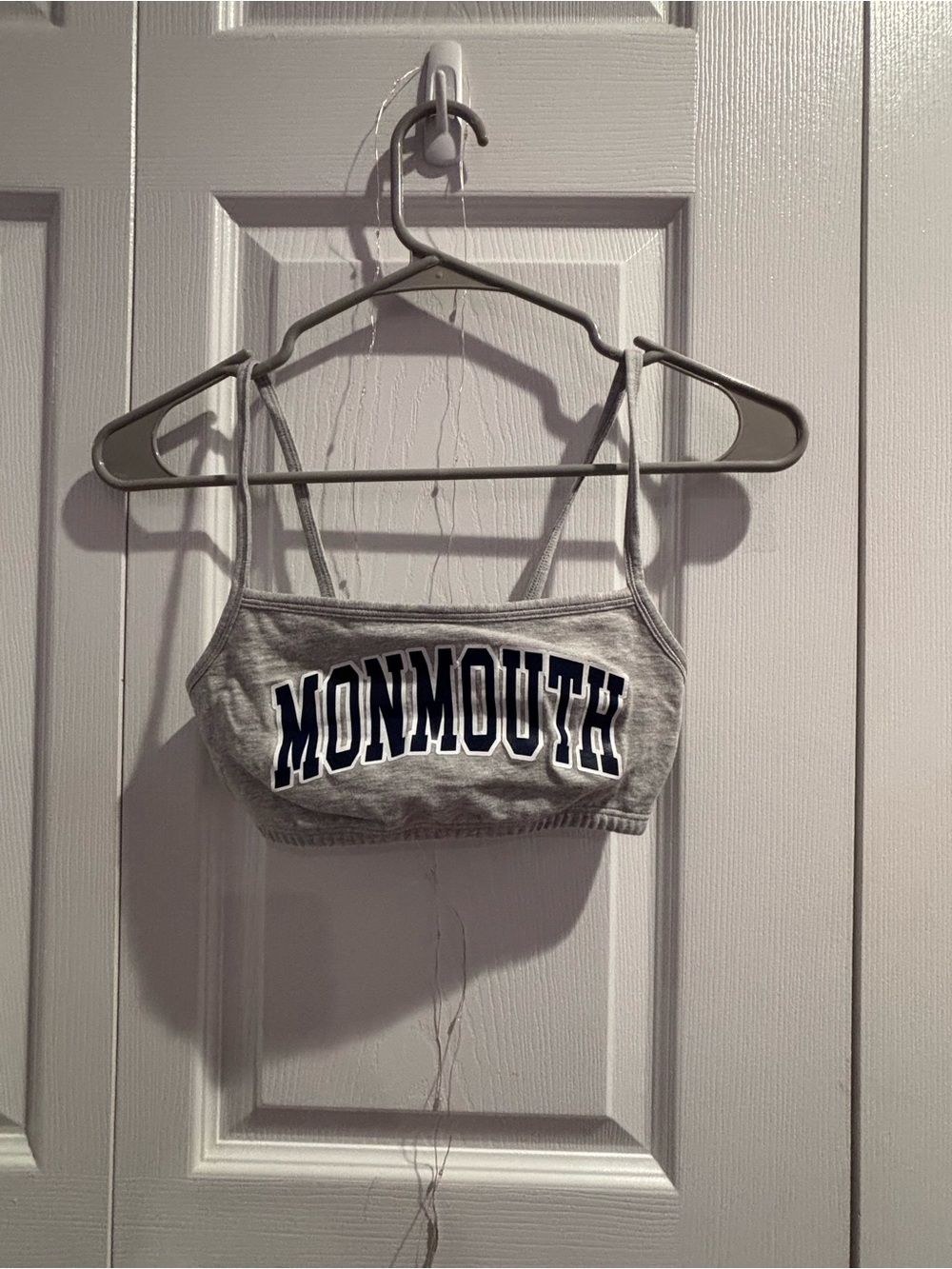 Gray Monmouth Cropped Bra Top